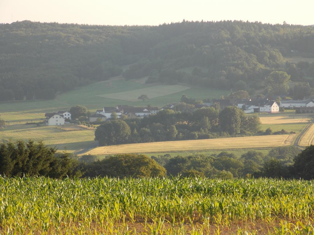 Ferienwohnung Inge Blum Müllenbach Exteriör bild